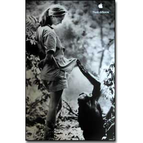 Jane Goodall 11X17